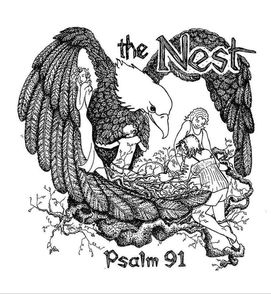 https://www.thenestbcs.org