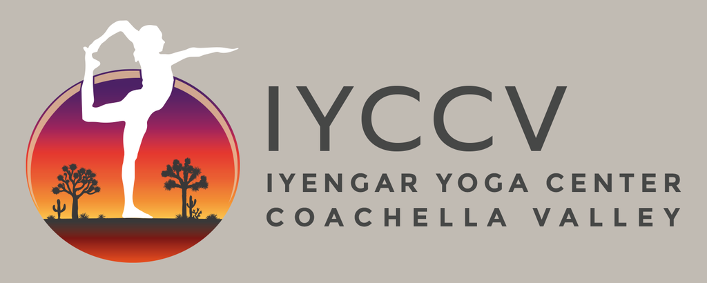 https://www.iyccv.org