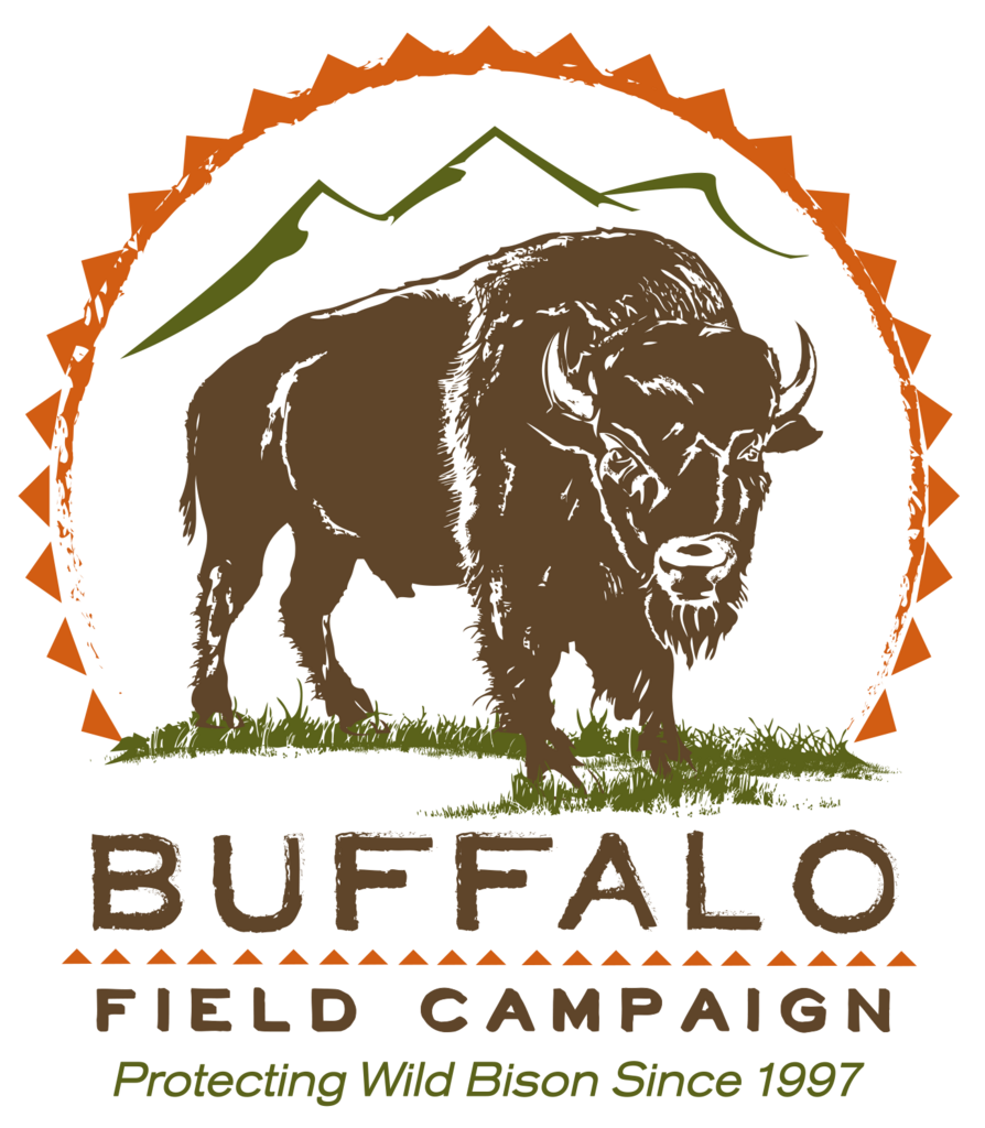 www.buffalofieldcampaign.org