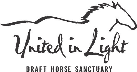 www.draftrescue.com